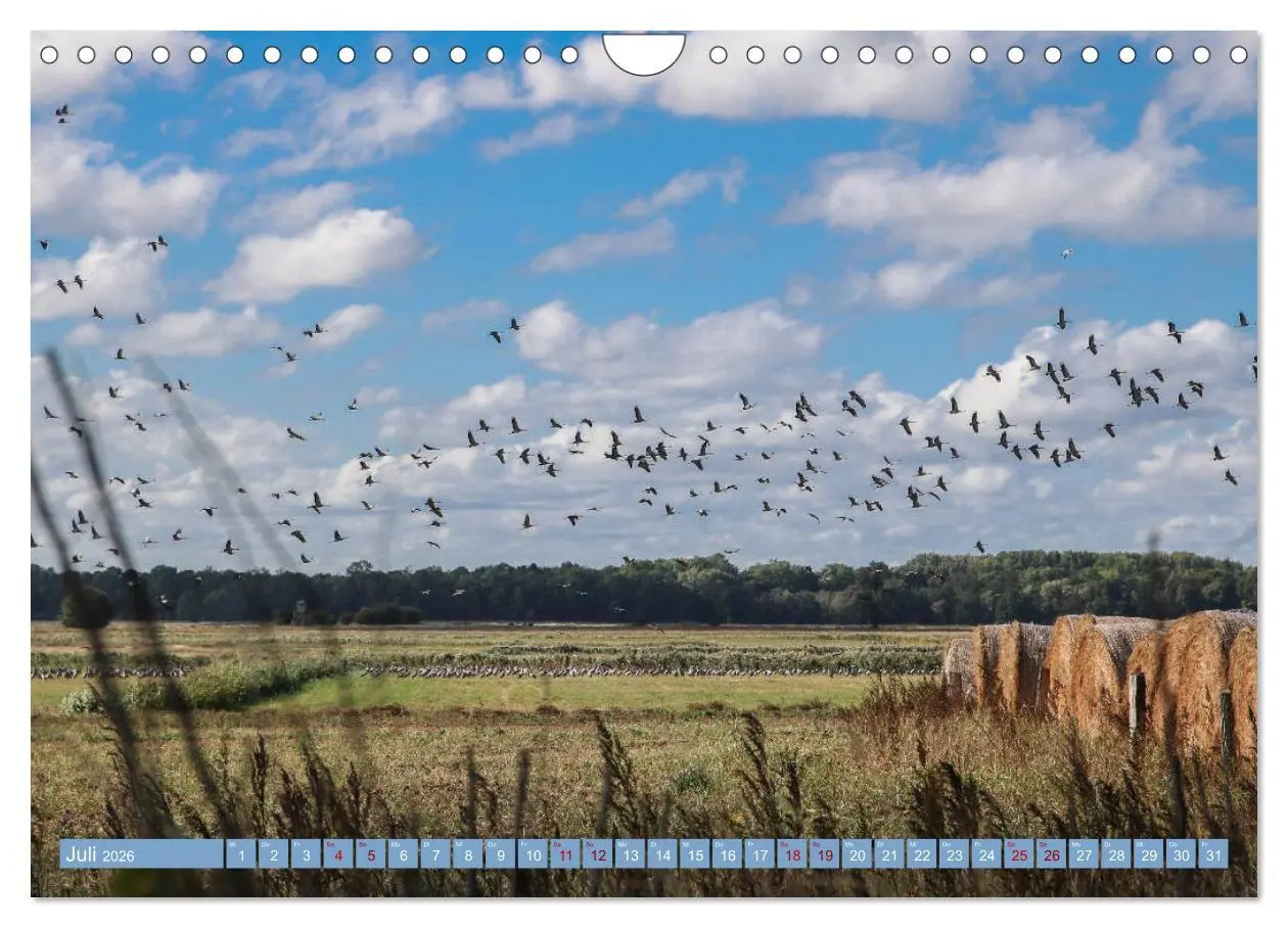 Bild: 9783457940372 | Stralsund und die Boddenlandschaft (Wandkalender 2026 DIN A4 quer),...