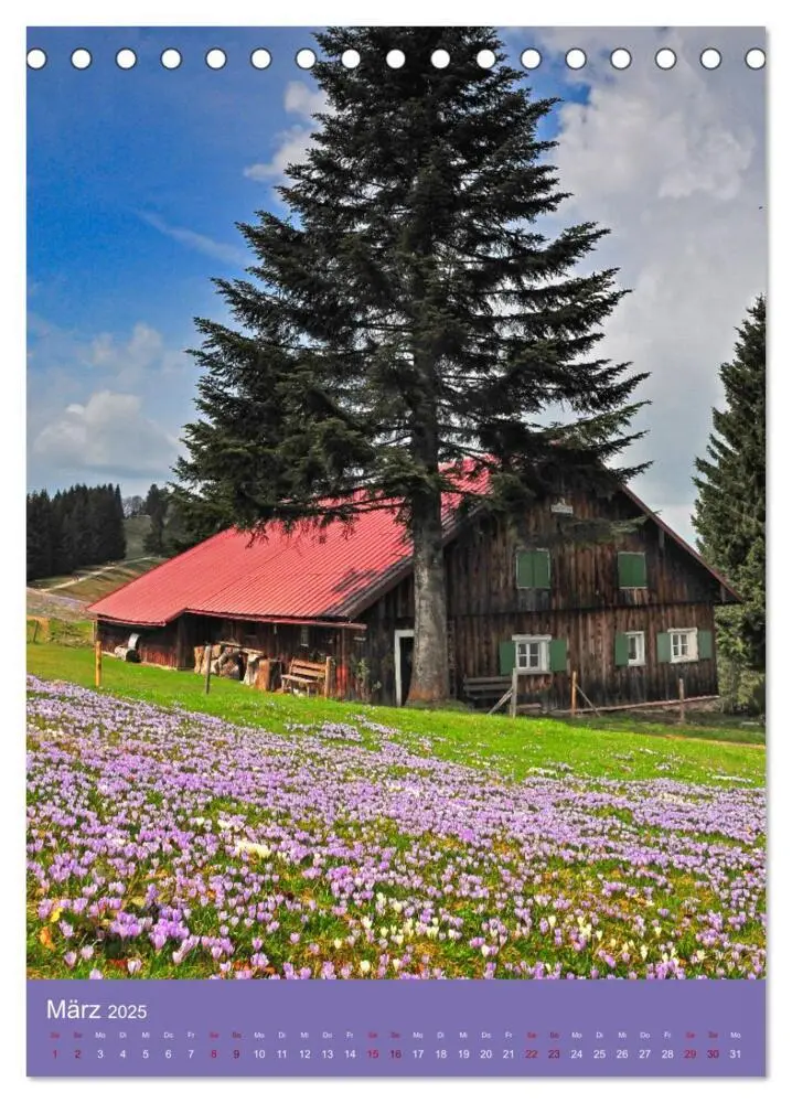 Bild: 9783383820472 | Das Allgäu - eine Landschaft wie im Märchen (Tischkalender 2025 DIN...