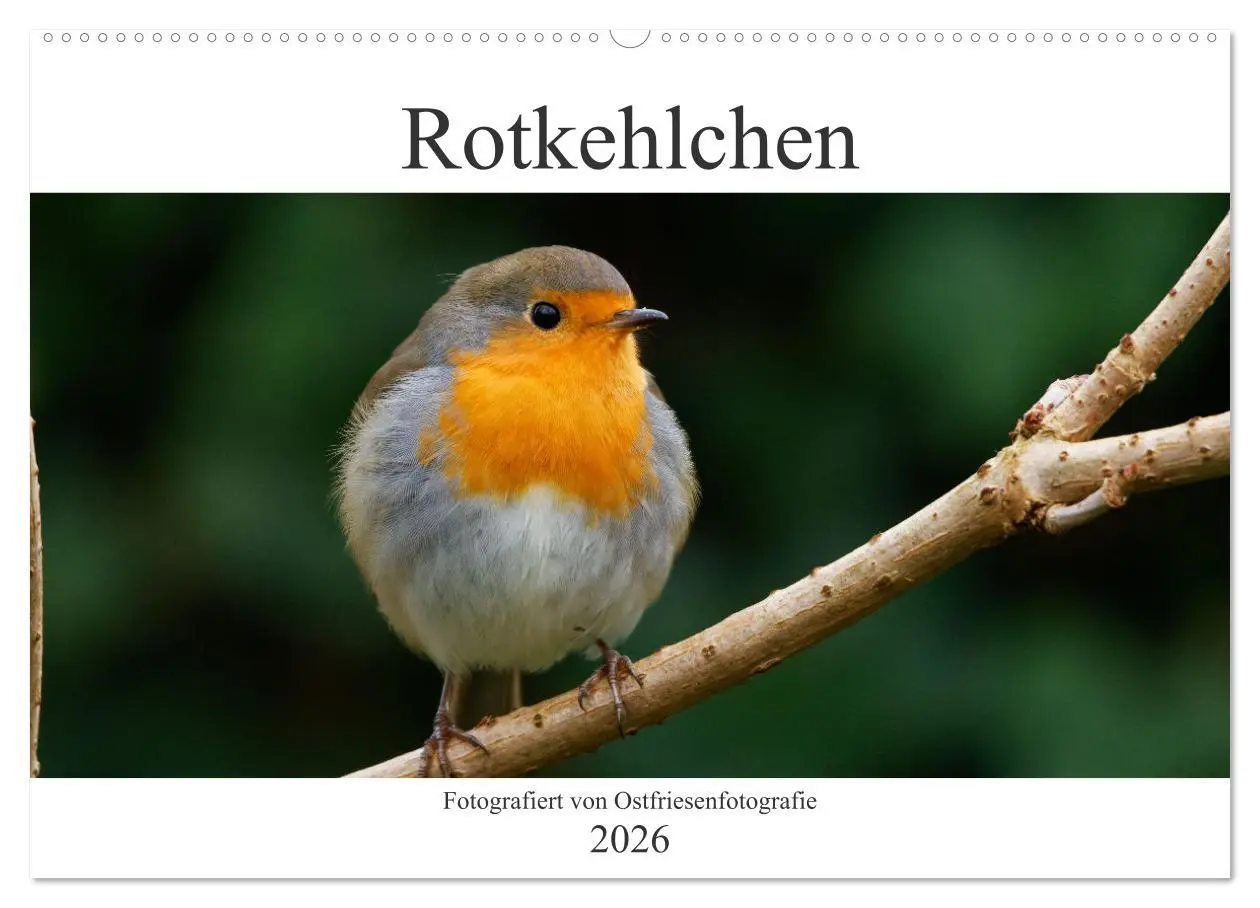 Cover: 9783457620472 | Rotkehlchen - Fotografiert von Ostfriesenfotografie (Wandkalender...
