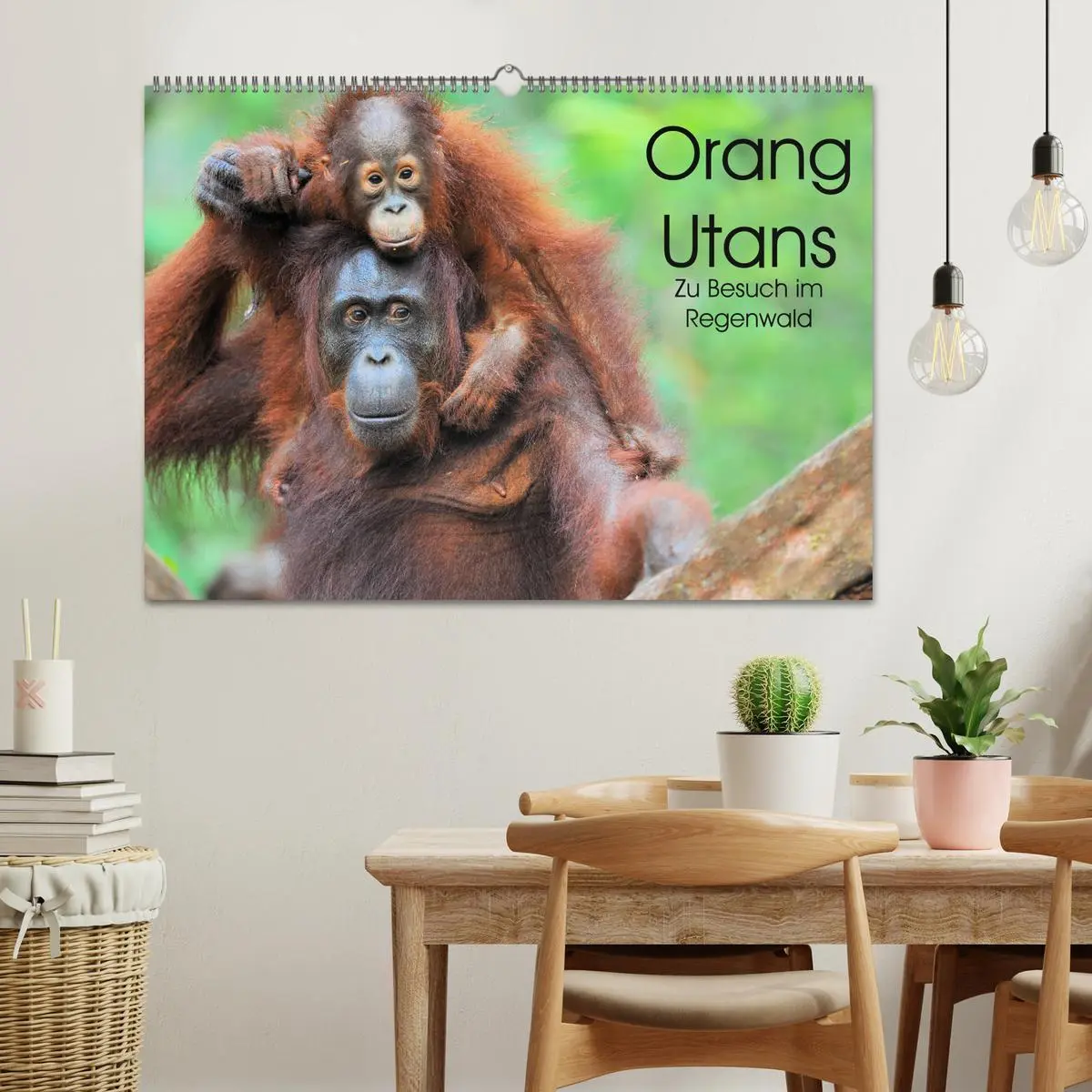 Bild: 9783457790472 | Orang Utans: Zu Besuch im Regenwald (Wandkalender 2026 DIN A2...