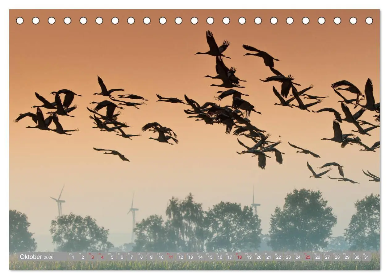 Bild: 9783457930472 | KranichRomantik (Tischkalender 2026 DIN A5 quer), CALVENDO...