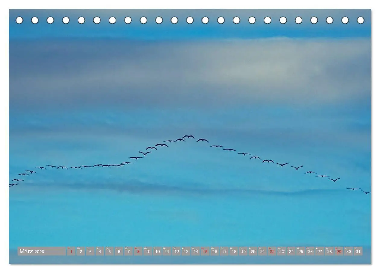 Bild: 9783457930472 | KranichRomantik (Tischkalender 2026 DIN A5 quer), CALVENDO...