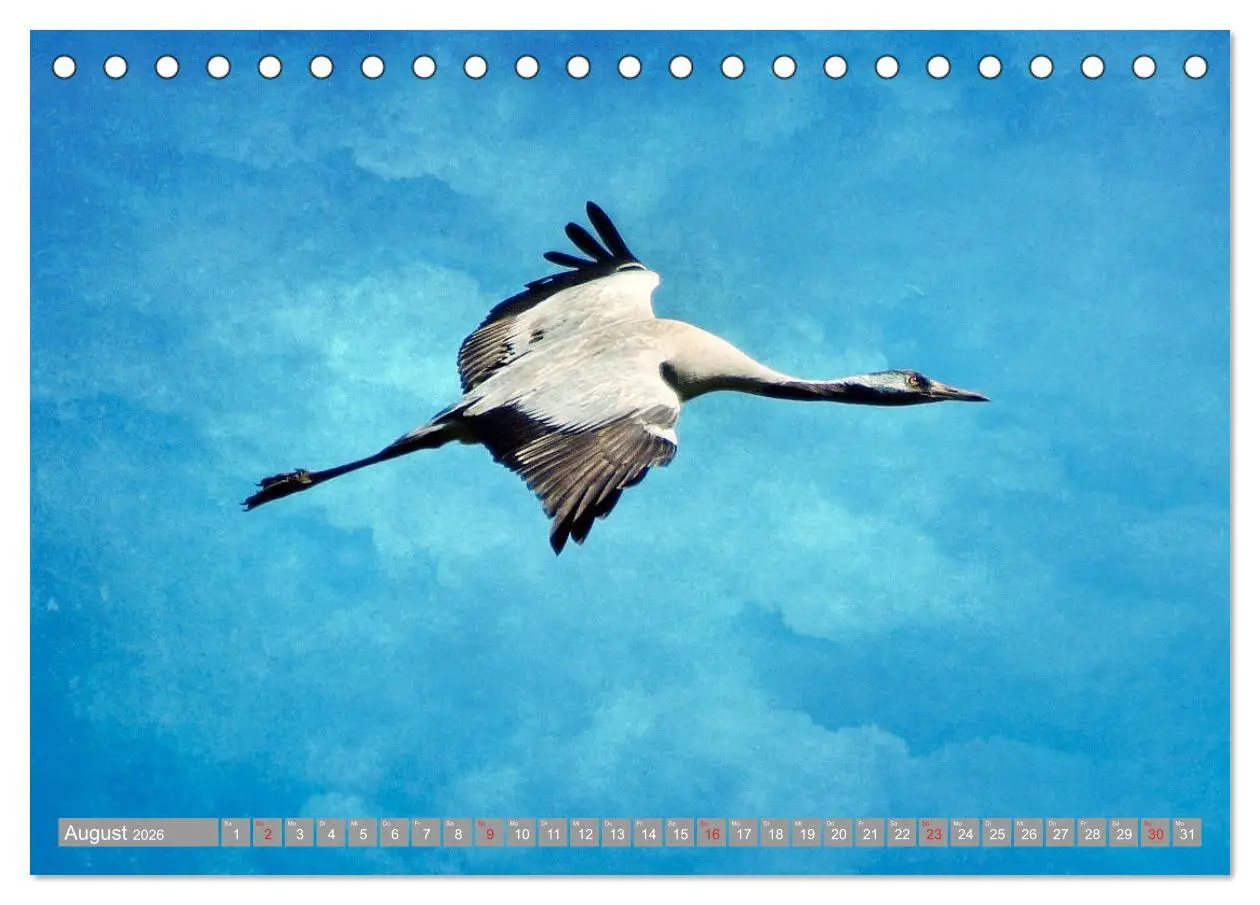 Bild: 9783457930472 | KranichRomantik (Tischkalender 2026 DIN A5 quer), CALVENDO...