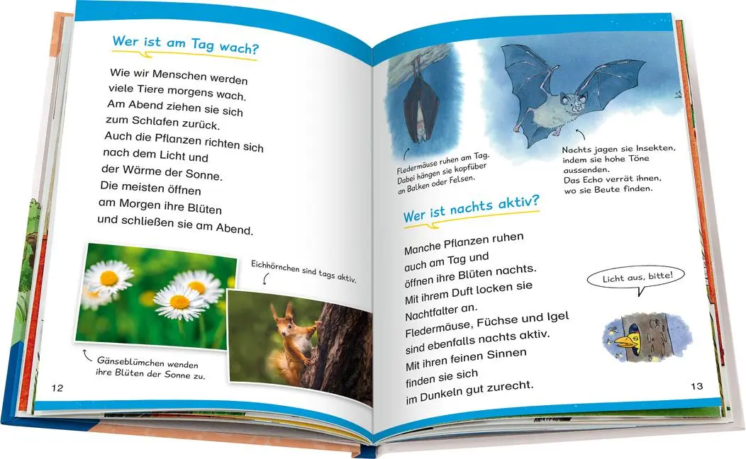 Bild: 9783473600472 | Wieso? Weshalb? Warum? Erstleser, Band 10 - In der Natur | Kessel