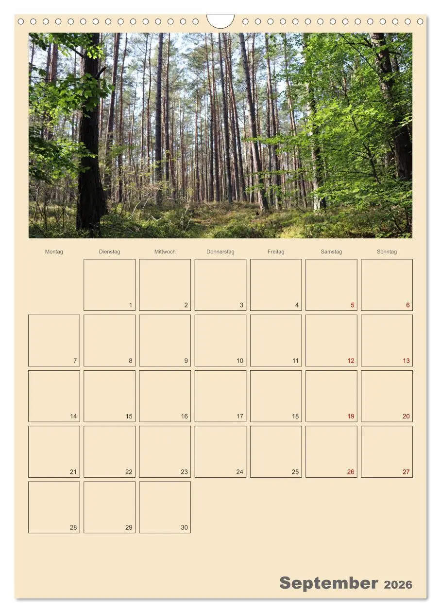Bild: 9783516330472 | Usedom Ostsee - Terminplaner (Wandkalender 2026 DIN A3 hoch),...