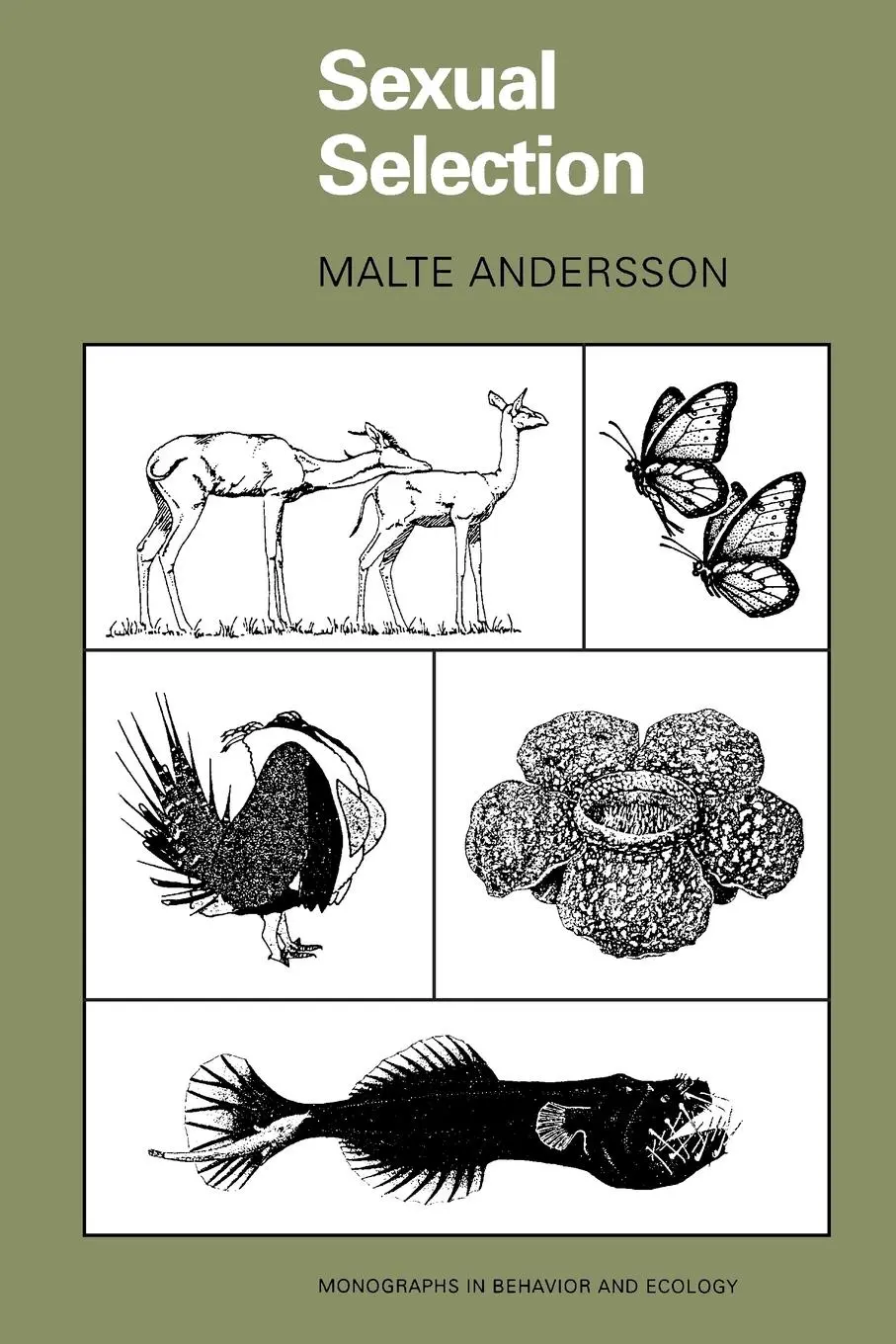 Cover: 9780691000572 | Sexual Selection | Malte Andersson | Taschenbuch | Englisch | 1994