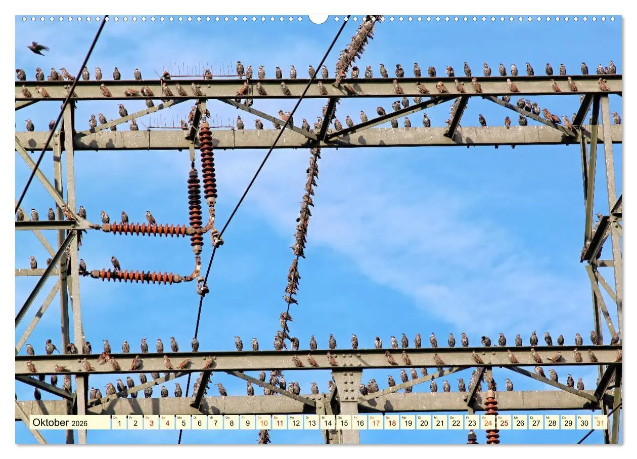 Bild: 9783457920572 | Strommasten - Wege des Stroms (Wandkalender 2026 DIN A2 quer),...