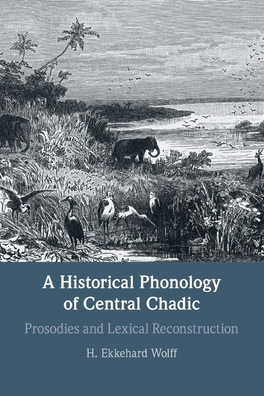 Cover: 9781009010672 | A Historical Phonology of Central Chadic | H. Ekkehard Wolff | Buch