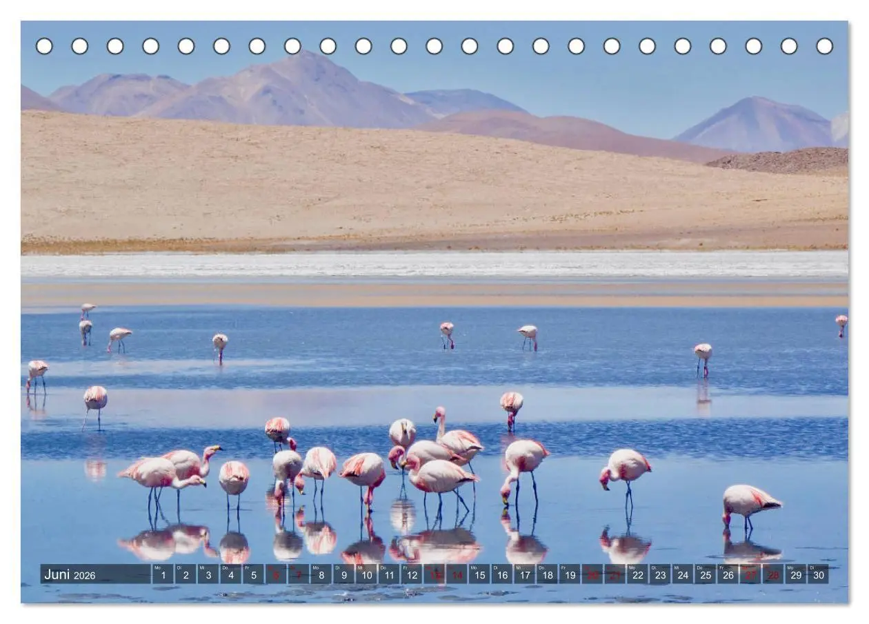 Bild: 9783457840672 | Peru Bolivien Chile (Tischkalender 2026 DIN A5 quer), CALVENDO...