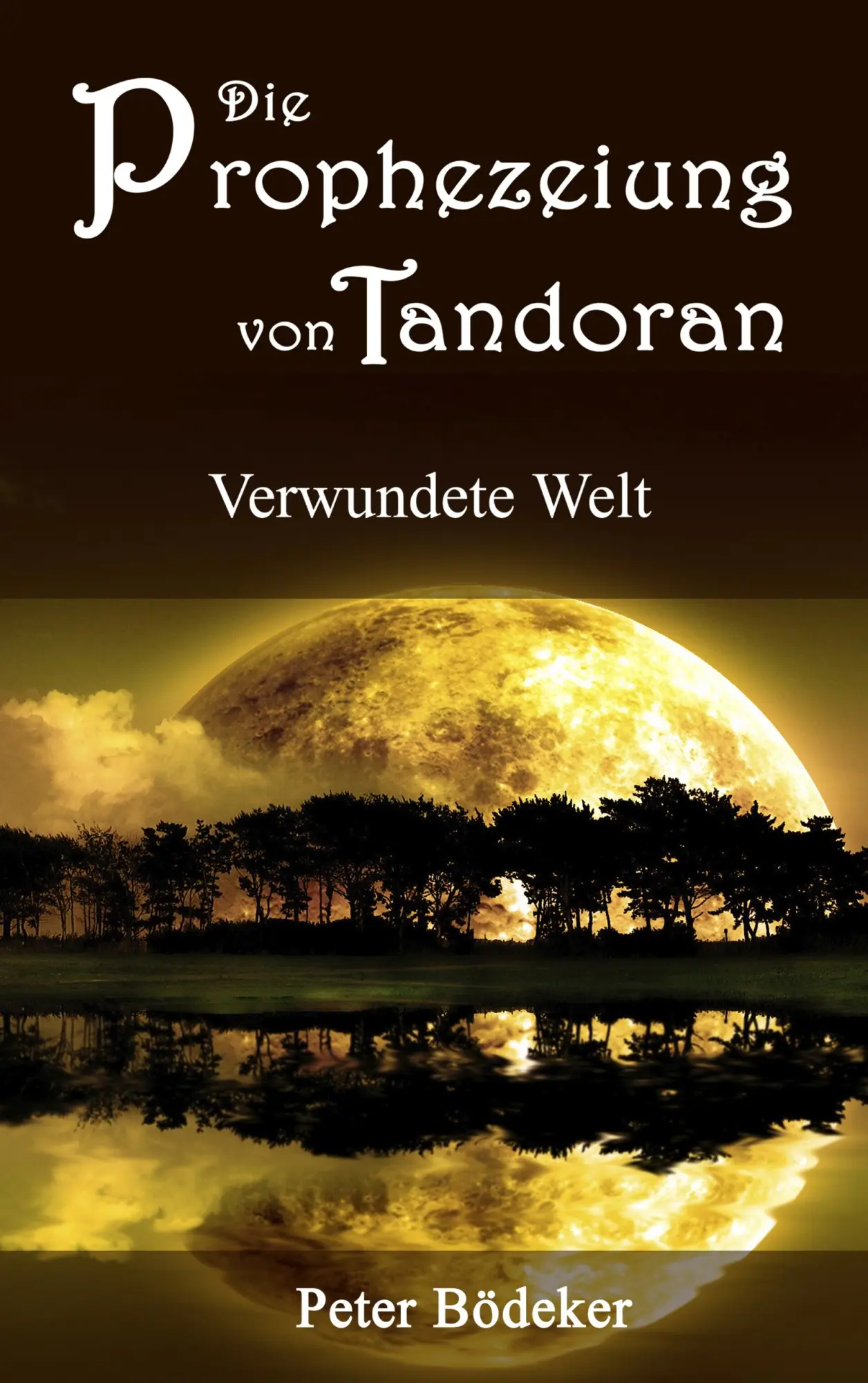 Cover: 9783734730672 | Die Prophezeiung von Tandoran - Verwundete Welt | Peter Bödeker | Buch