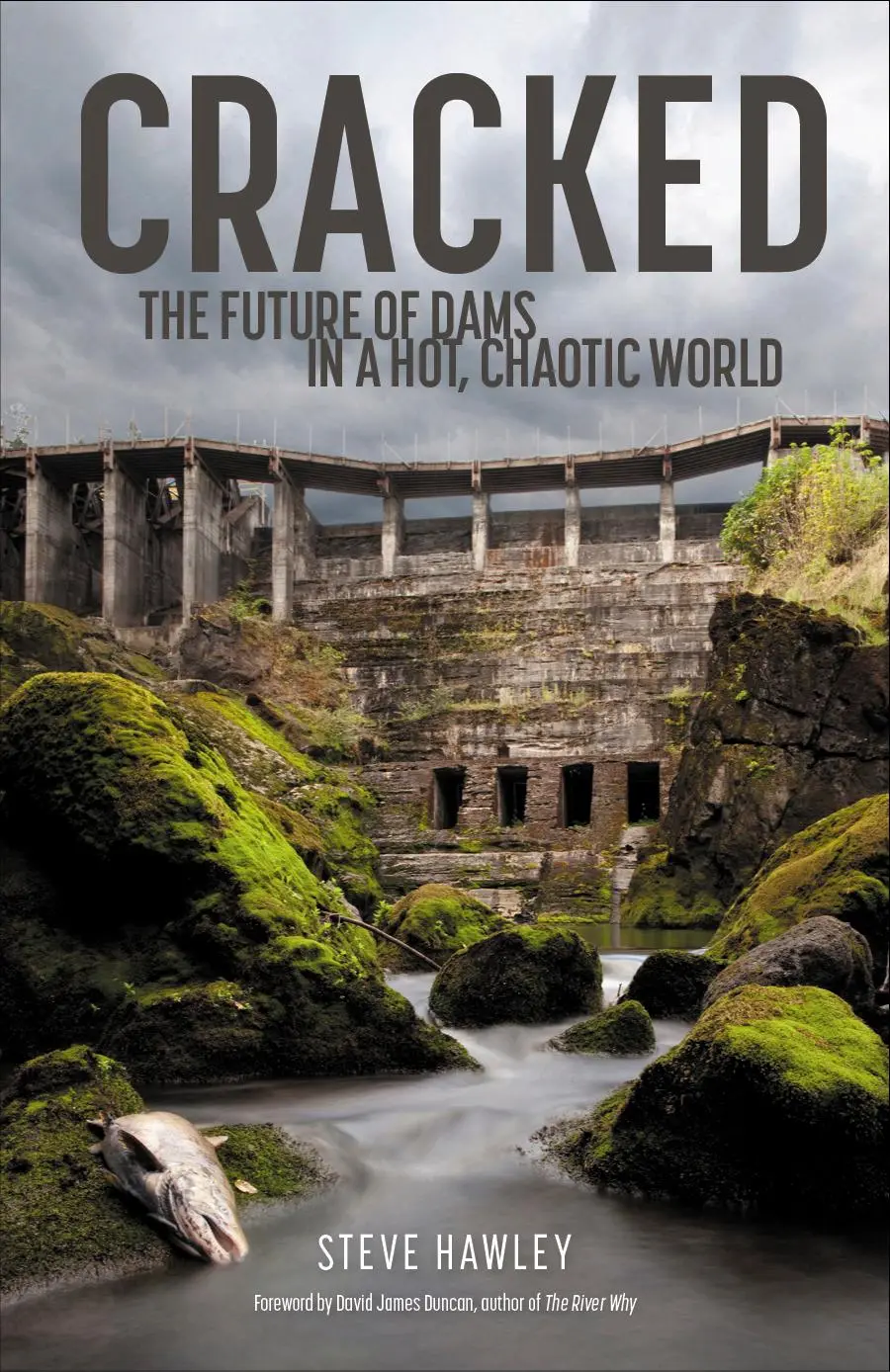 Cover: 9781938340772 | Cracked | The Future of Dams in a Hot, Crazy World | Steven Hawley
