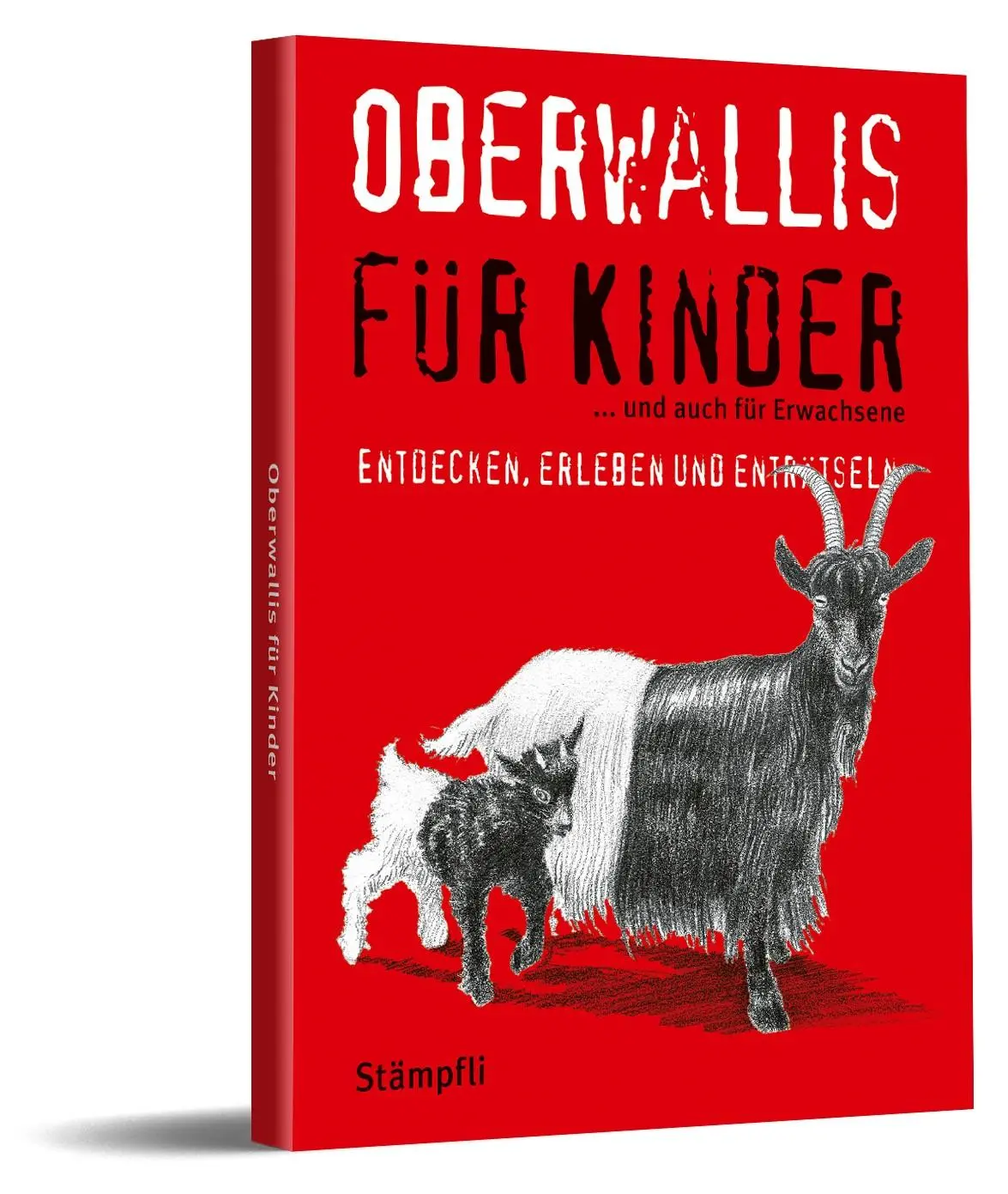 Cover: 9783727260872 | Oberwallis für Kinder | Christa Escher (u. a.) | Taschenbuch | 240 S.