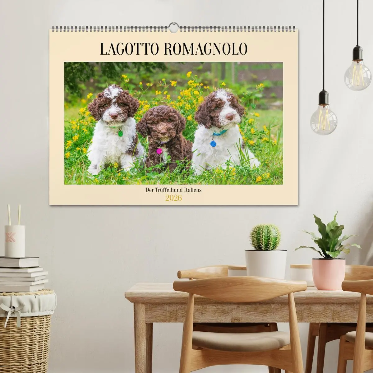 Bild: 9783457500972 | Lagotto Romagnolo - der Trüffelhund Italiens (Wandkalender 2026 DIN...