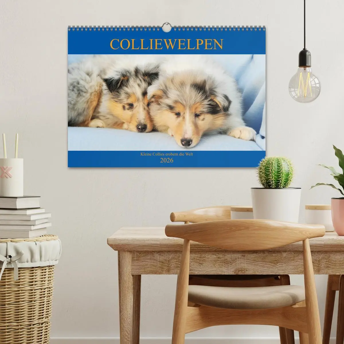 Bild: 9783457810972 | Colliewelpen - kleine Collies erobern die Welt (Wandkalender 2026...