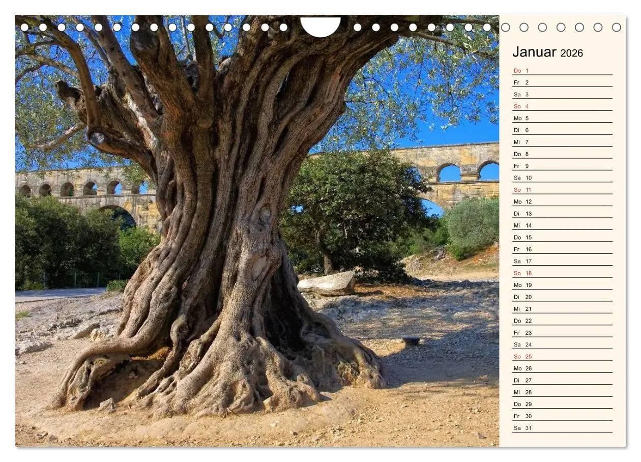 Bild: 9783457980972 | Verzaubernde Provence (Wandkalender 2026 DIN A4 quer), CALVENDO...