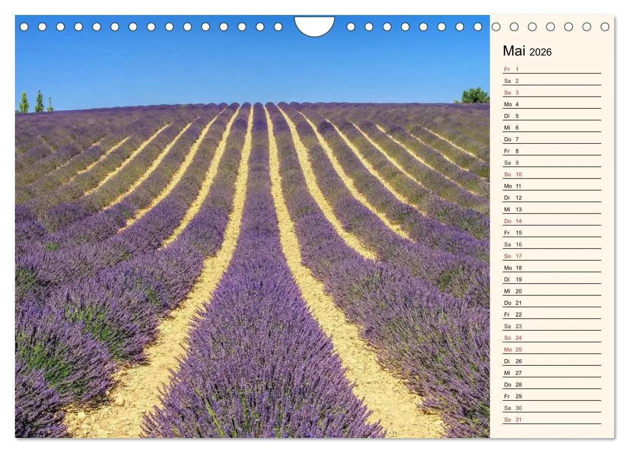 Bild: 9783457980972 | Verzaubernde Provence (Wandkalender 2026 DIN A4 quer), CALVENDO...