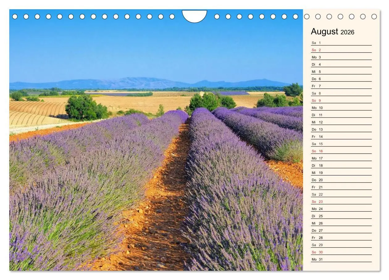 Bild: 9783457980972 | Verzaubernde Provence (Wandkalender 2026 DIN A4 quer), CALVENDO...