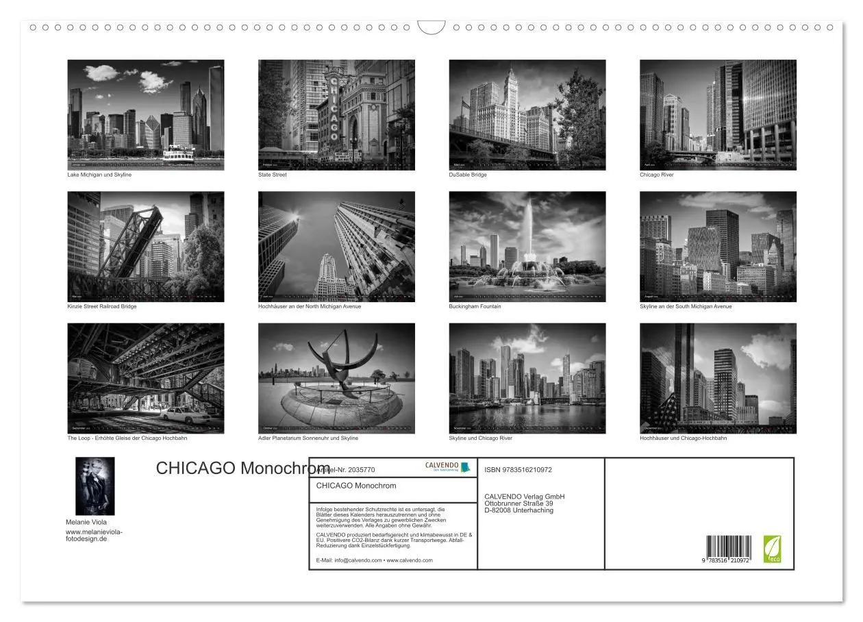Bild: 9783516210972 | CHICAGO Monochrom (Wandkalender 2026 DIN A2 quer), CALVENDO...