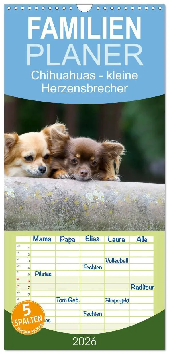 Cover: 9783516520972 | Familienplaner 2026 - Chihuahuas - kleine Herzensbrecher mit 5...