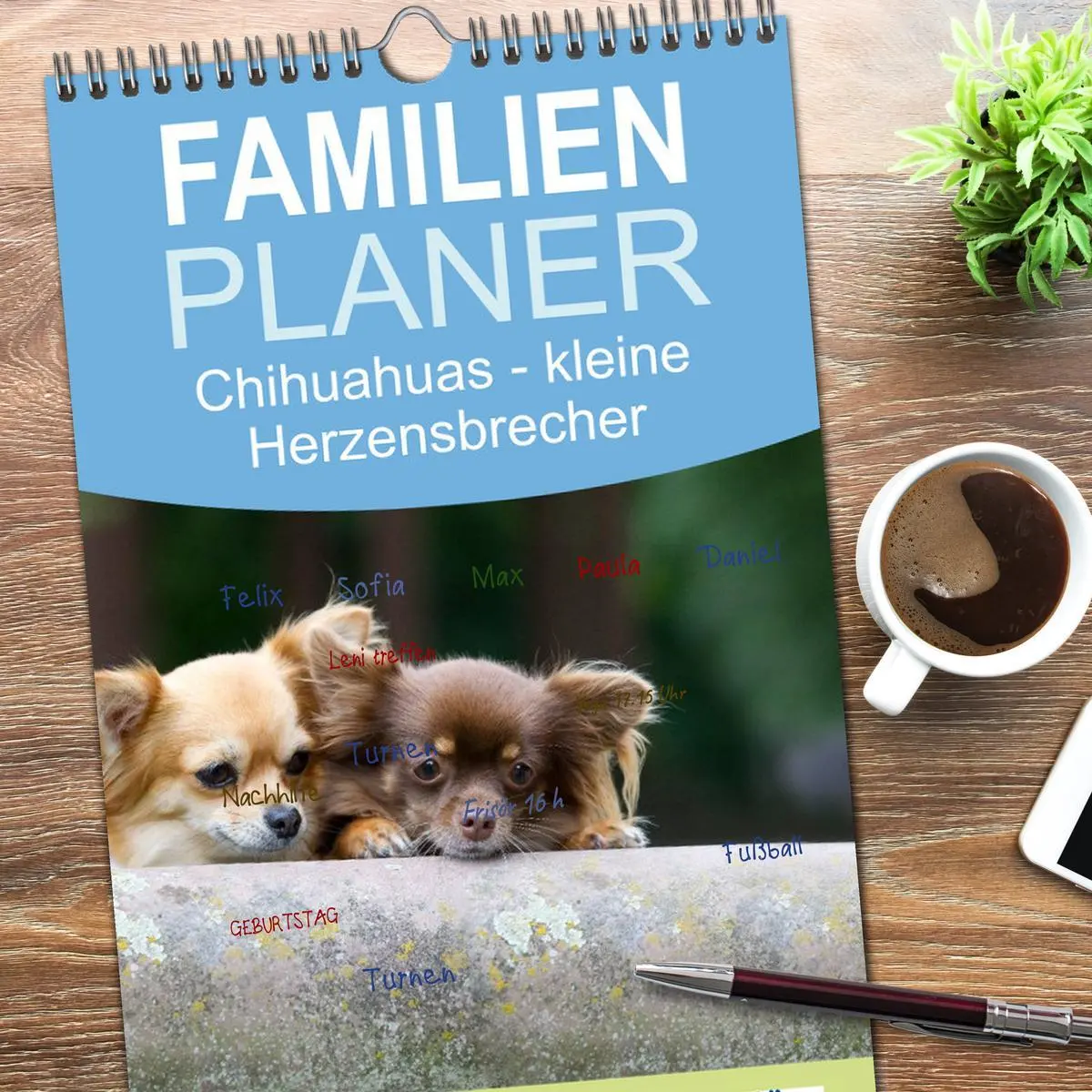 Bild: 9783516520972 | Familienplaner 2026 - Chihuahuas - kleine Herzensbrecher mit 5...