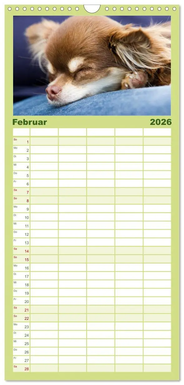 Bild: 9783516520972 | Familienplaner 2026 - Chihuahuas - kleine Herzensbrecher mit 5...