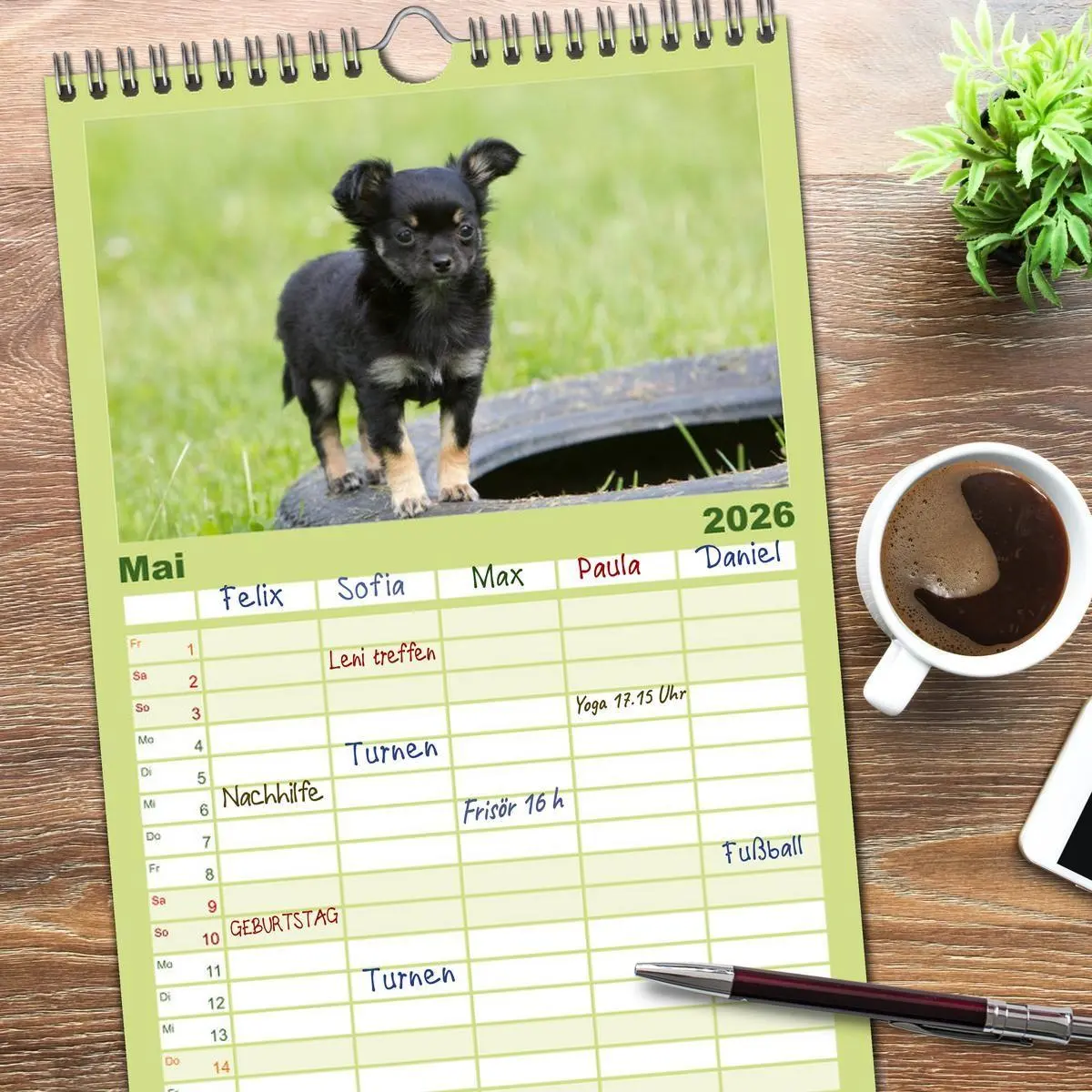 Bild: 9783516520972 | Familienplaner 2026 - Chihuahuas - kleine Herzensbrecher mit 5...