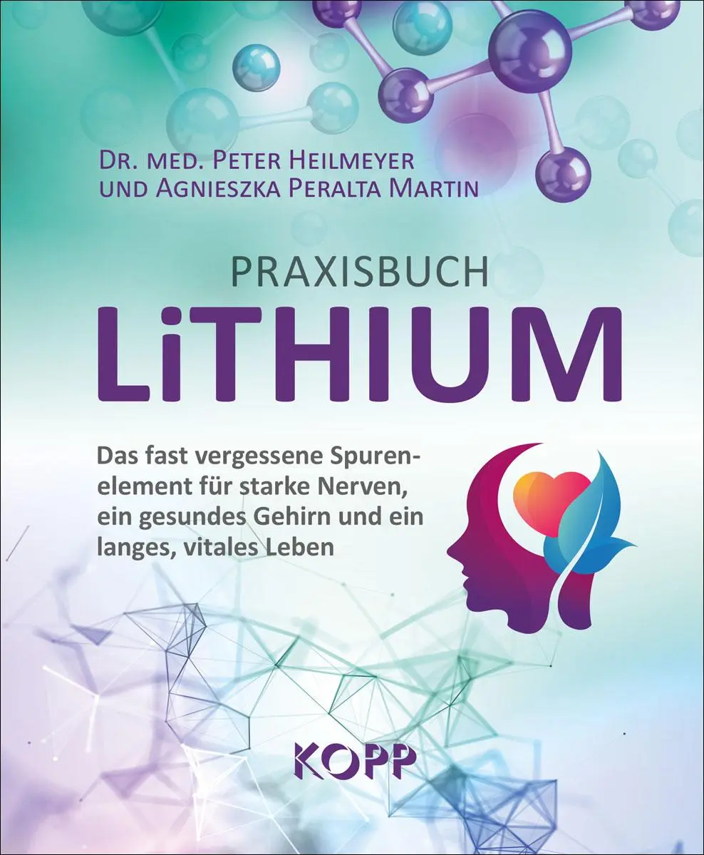 Cover: 9783989920972 | Praxisbuch Lithium | Peter Heilmeyer (u. a.) | Taschenbuch | 159 S.