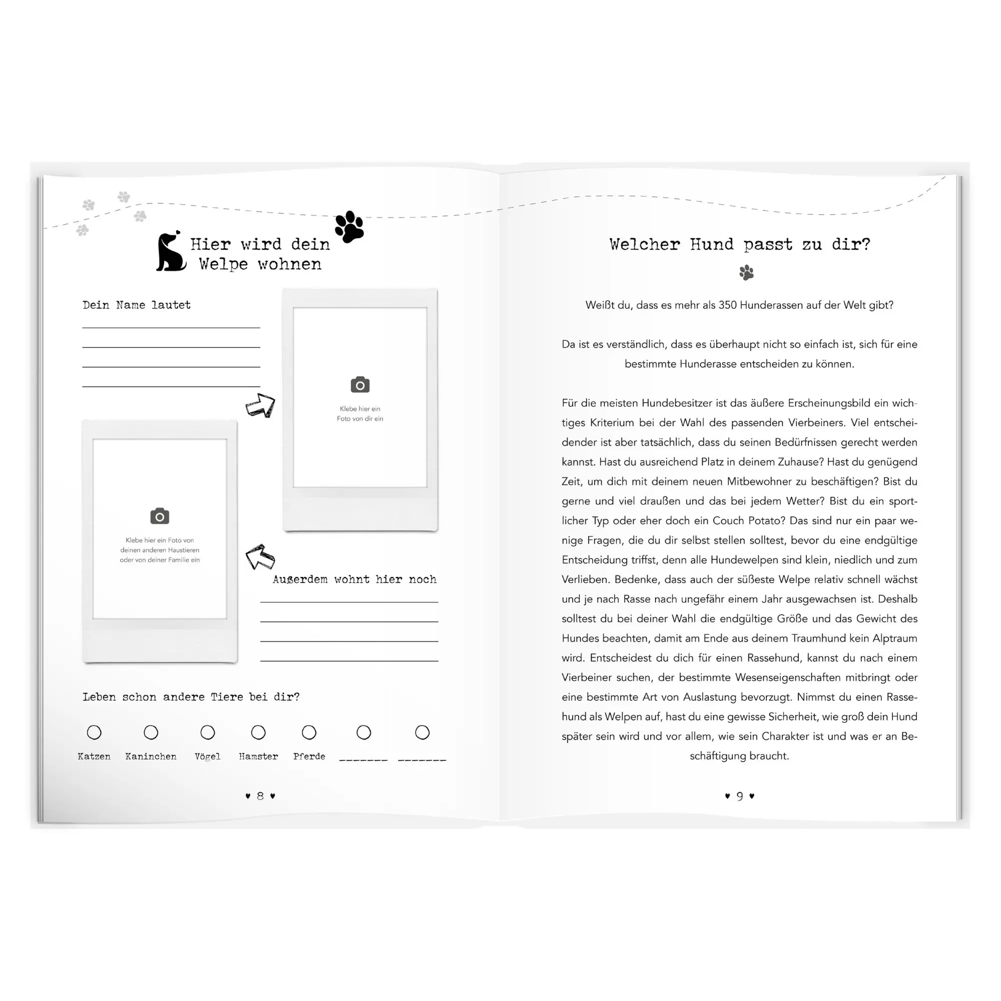 Bild: 9783986601072 | Entdecke die Welt Deines Hundes | Udo Ingenbrand | Buch | 256 S.