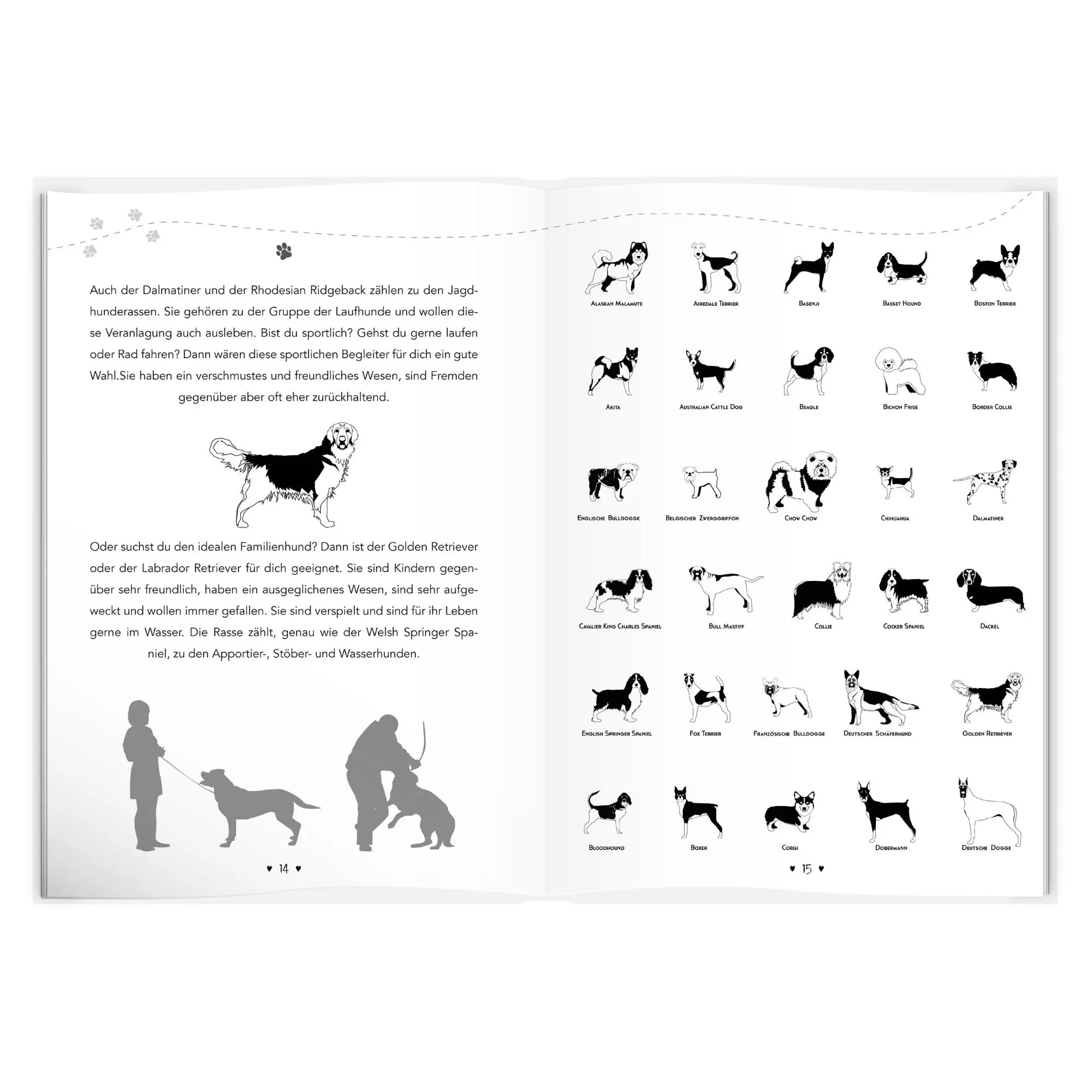 Bild: 9783986601072 | Entdecke die Welt Deines Hundes | Udo Ingenbrand | Buch | 256 S.