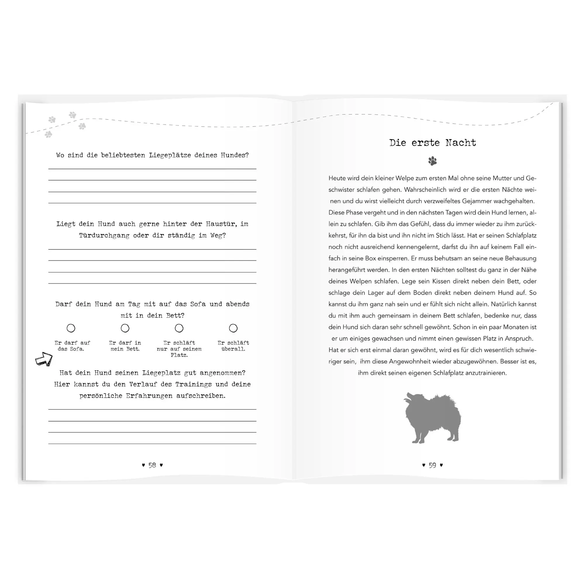 Bild: 9783986601072 | Entdecke die Welt Deines Hundes | Udo Ingenbrand | Buch | 256 S.