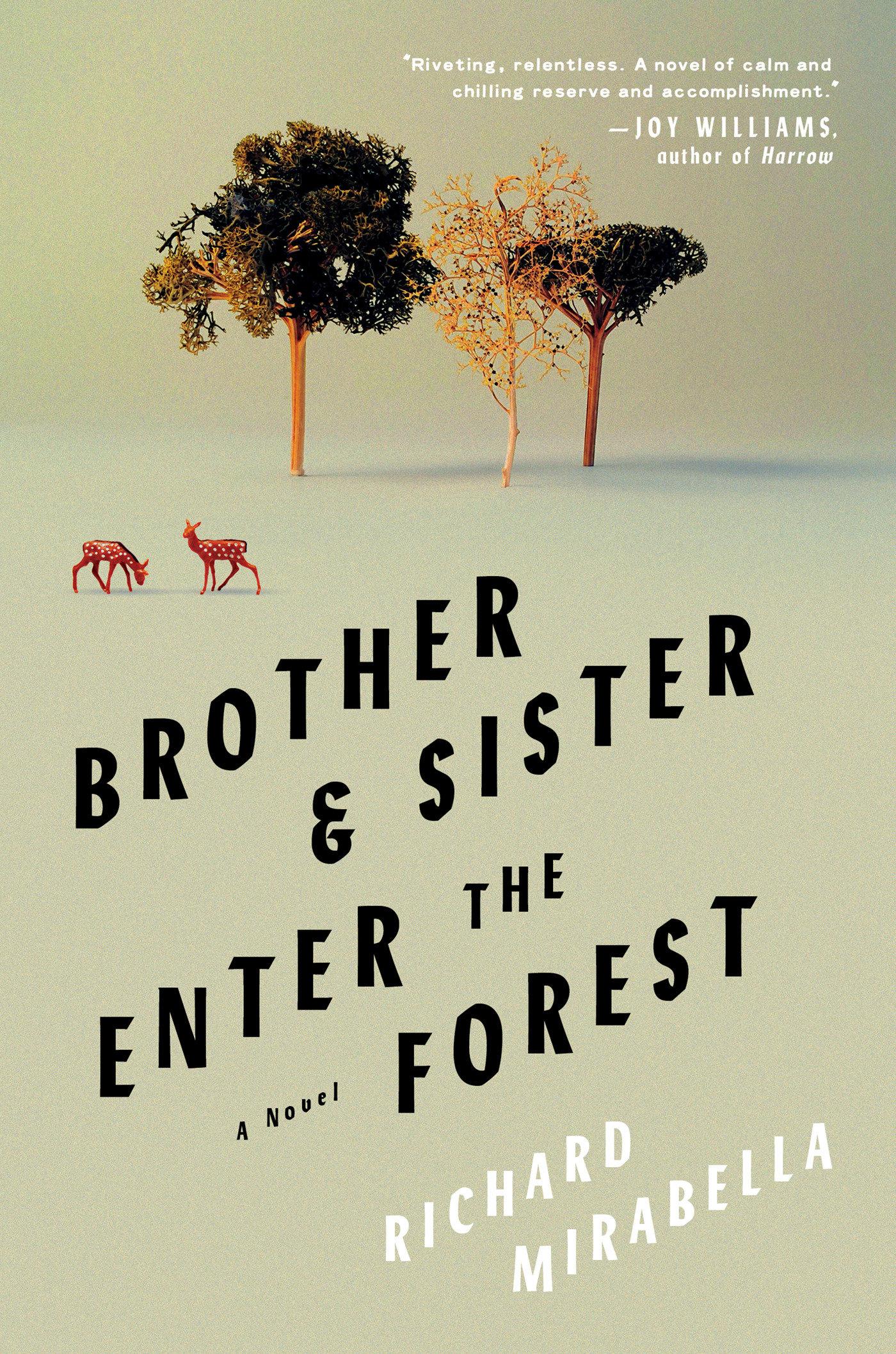 Cover: 9781646221172 | Brother &amp; Sister Enter the Forest | A Novel | Richard Mirabella | Buch