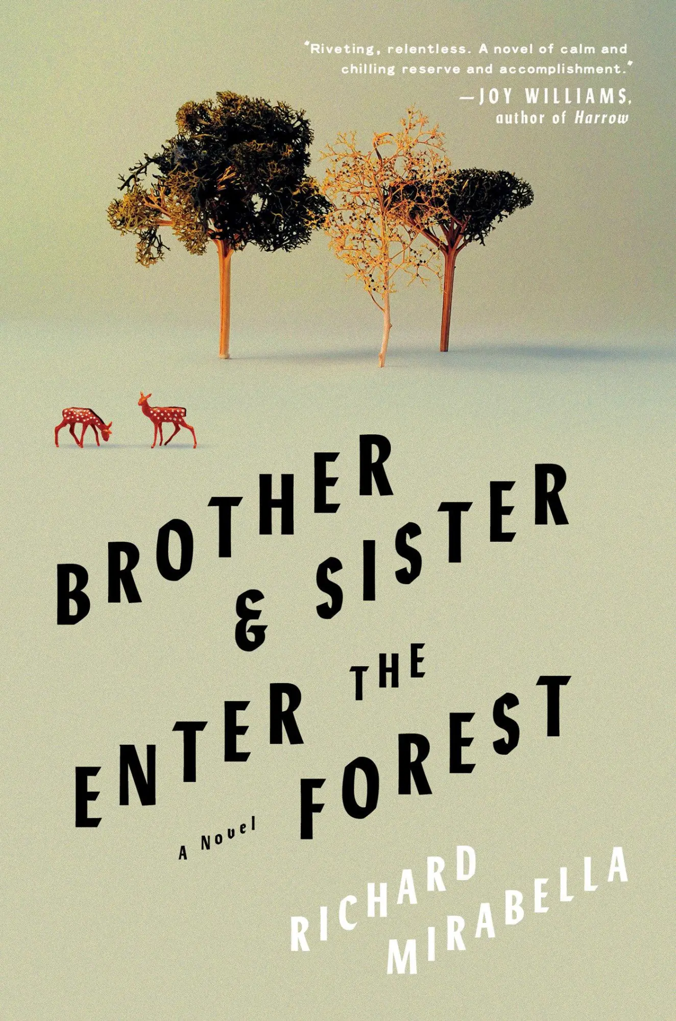 Cover: 9781646221172 | Brother &amp; Sister Enter the Forest | A Novel | Richard Mirabella | Buch