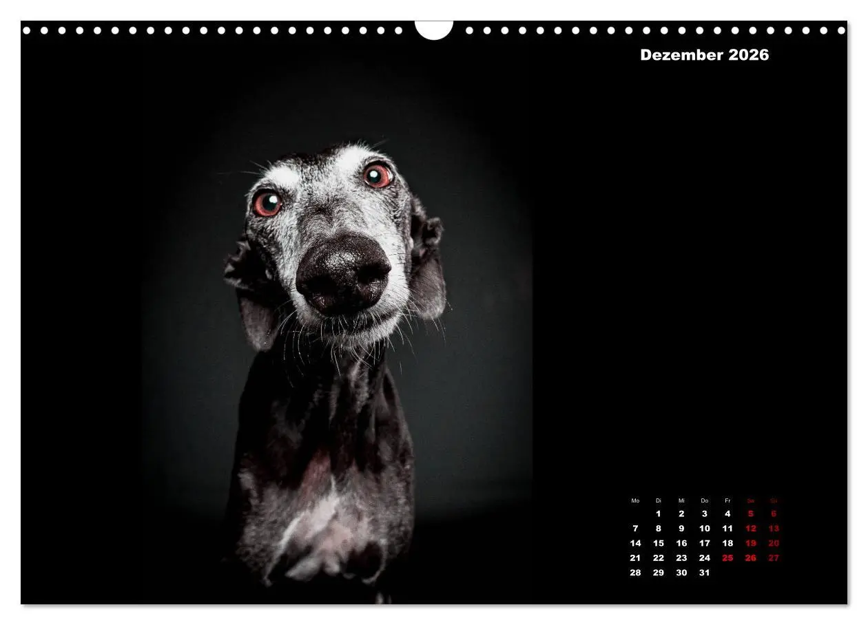 Bild: 9783457791172 | Die Stimme der Windhunde (Wandkalender 2026 DIN A3 quer), CALVENDO...