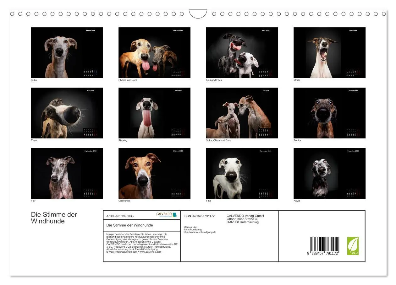 Bild: 9783457791172 | Die Stimme der Windhunde (Wandkalender 2026 DIN A3 quer), CALVENDO...