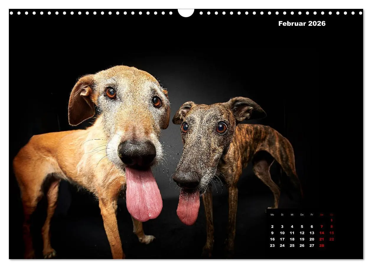 Bild: 9783457791172 | Die Stimme der Windhunde (Wandkalender 2026 DIN A3 quer), CALVENDO...