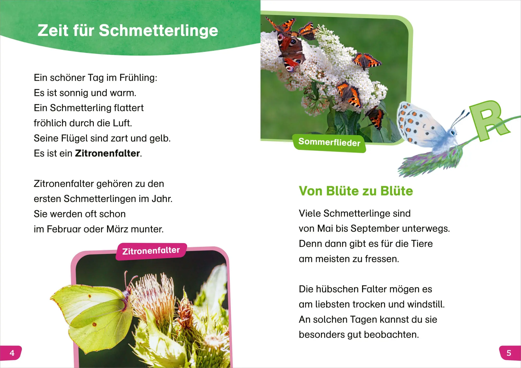 Bild: 9783788681272 | WAS IST WAS Erstes Lesen easy! Unsere Schmetterlinge | Meierjürgen