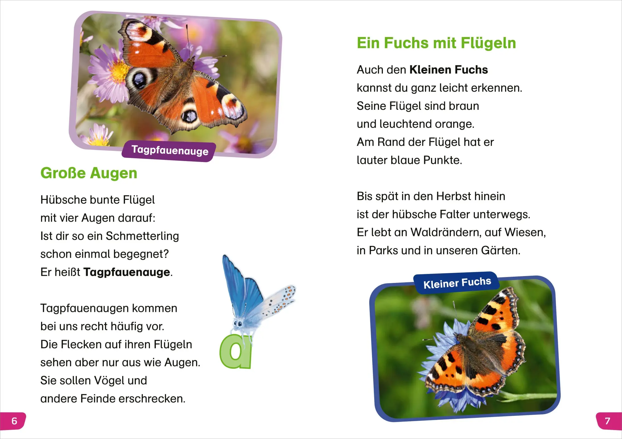 Bild: 9783788681272 | WAS IST WAS Erstes Lesen easy! Unsere Schmetterlinge | Meierjürgen