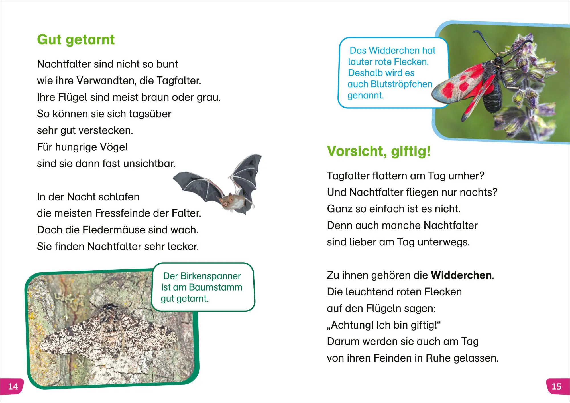 Bild: 9783788681272 | WAS IST WAS Erstes Lesen easy! Unsere Schmetterlinge | Meierjürgen