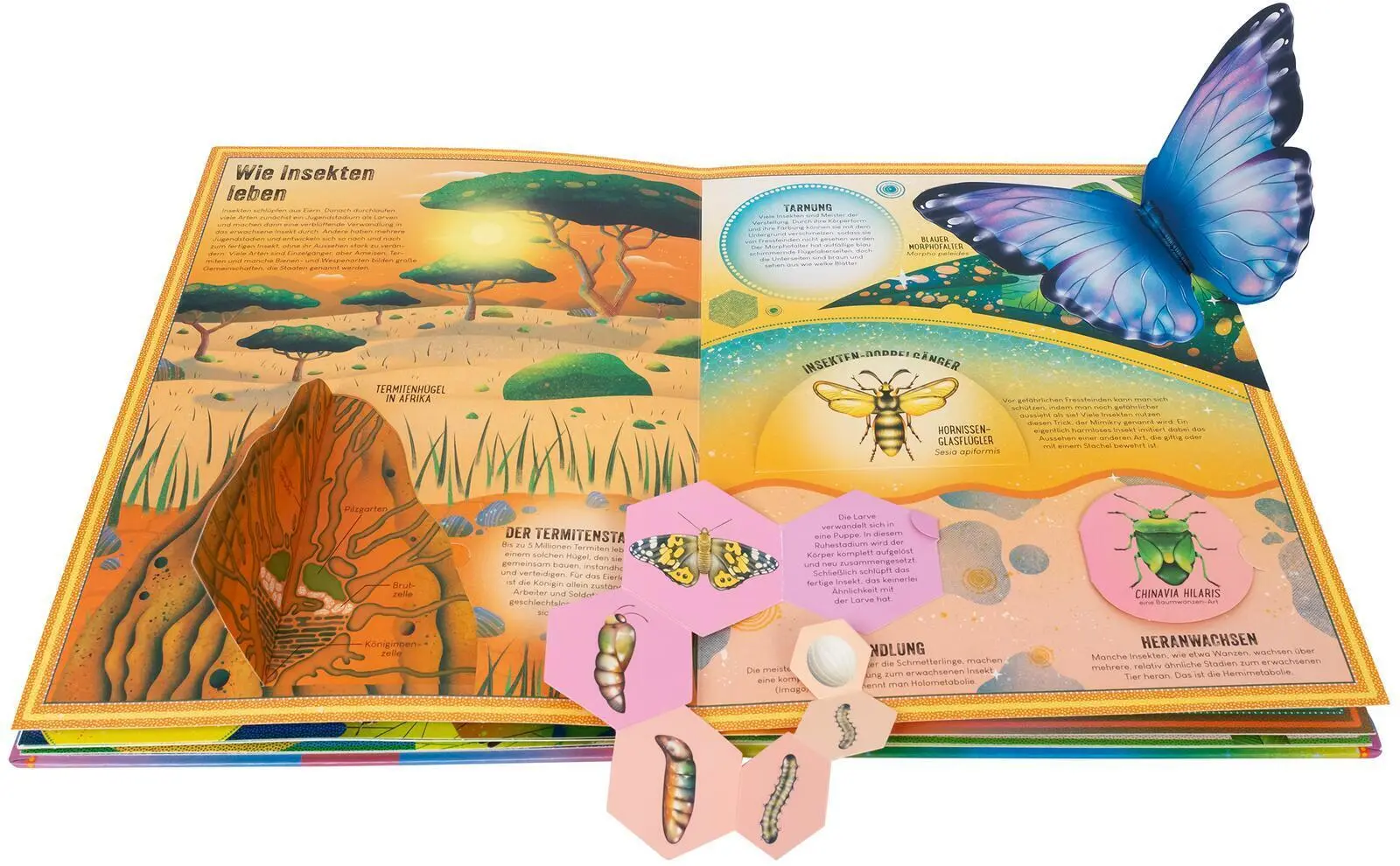 Rückseite: 9783845861272 | Das unglaubliche Pop-up-Buch Insekten | Ben Hoare | Buch | 16 S.