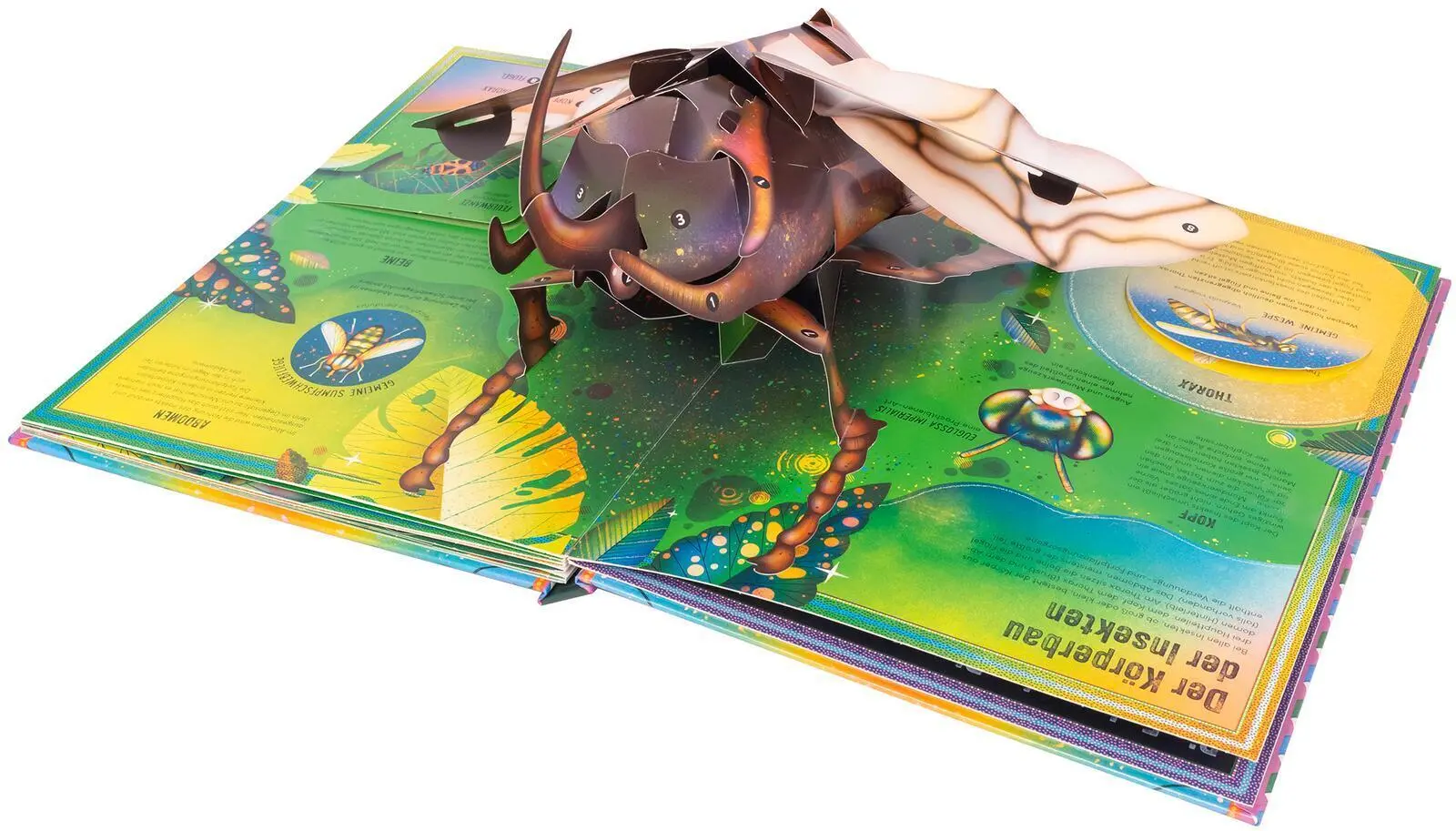 Bild: 9783845861272 | Das unglaubliche Pop-up-Buch Insekten | Ben Hoare | Buch | 16 S.