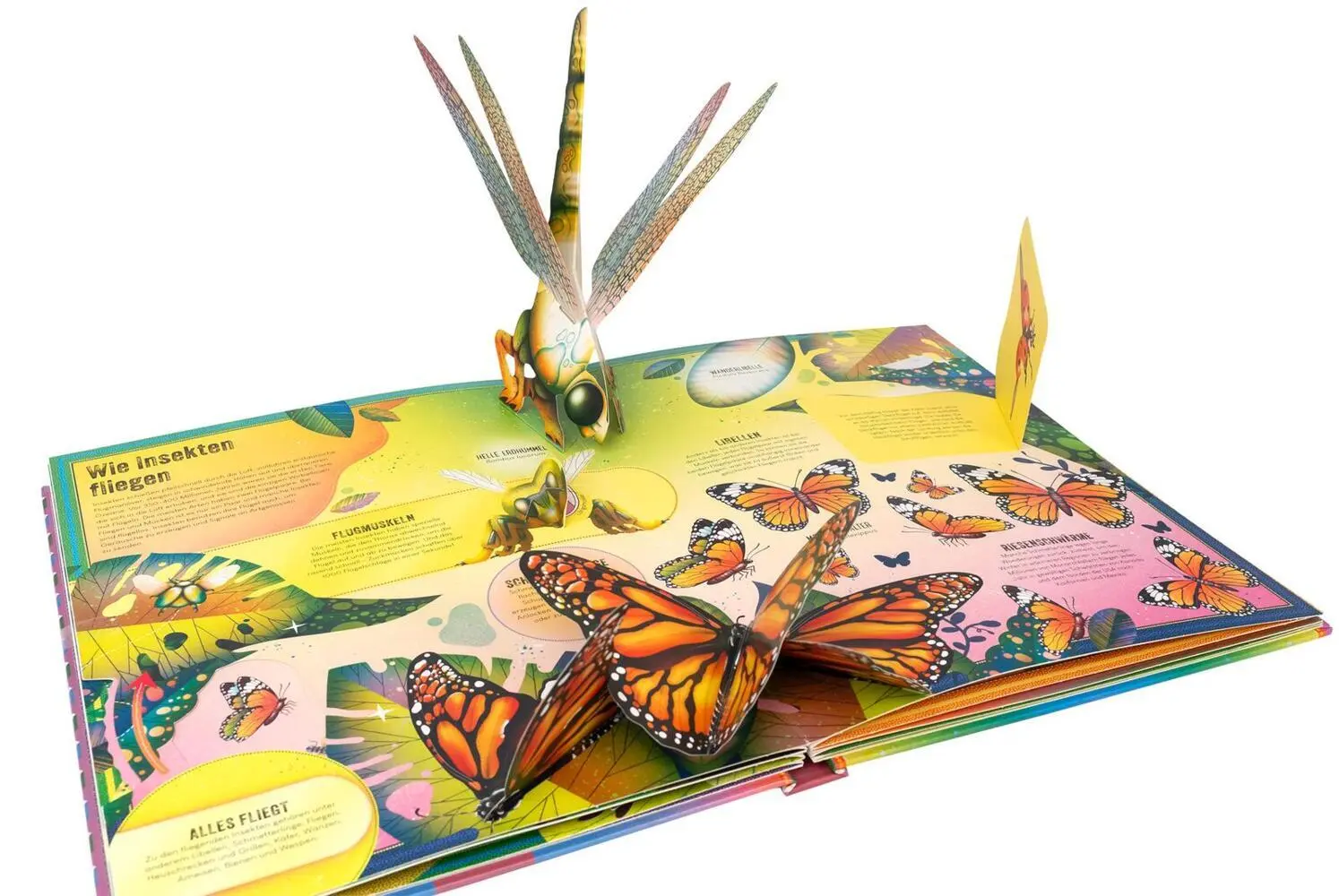 Bild: 9783845861272 | Das unglaubliche Pop-up-Buch Insekten | Ben Hoare | Buch | 16 S.