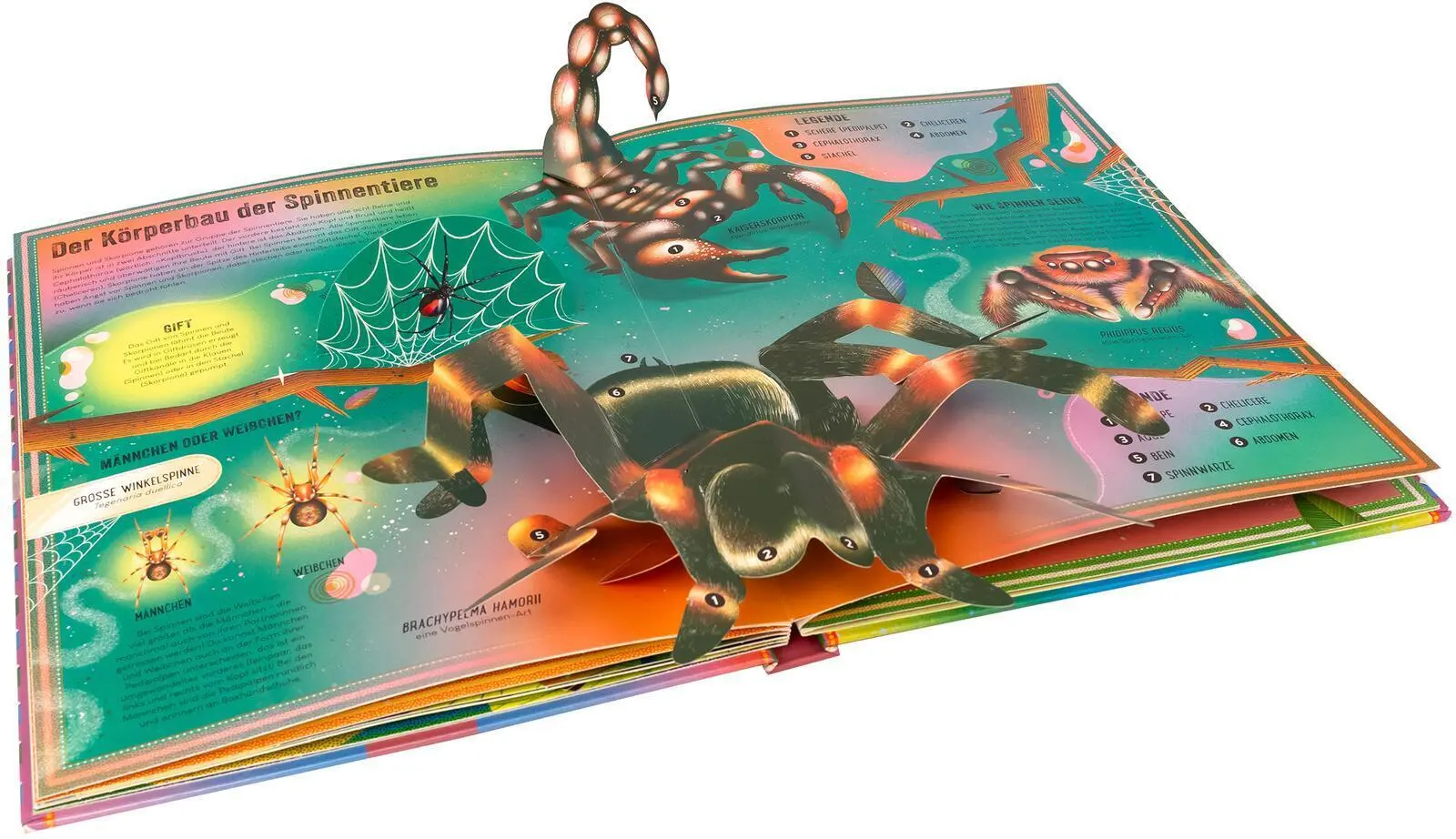 Bild: 9783845861272 | Das unglaubliche Pop-up-Buch Insekten | Ben Hoare | Buch | 16 S.