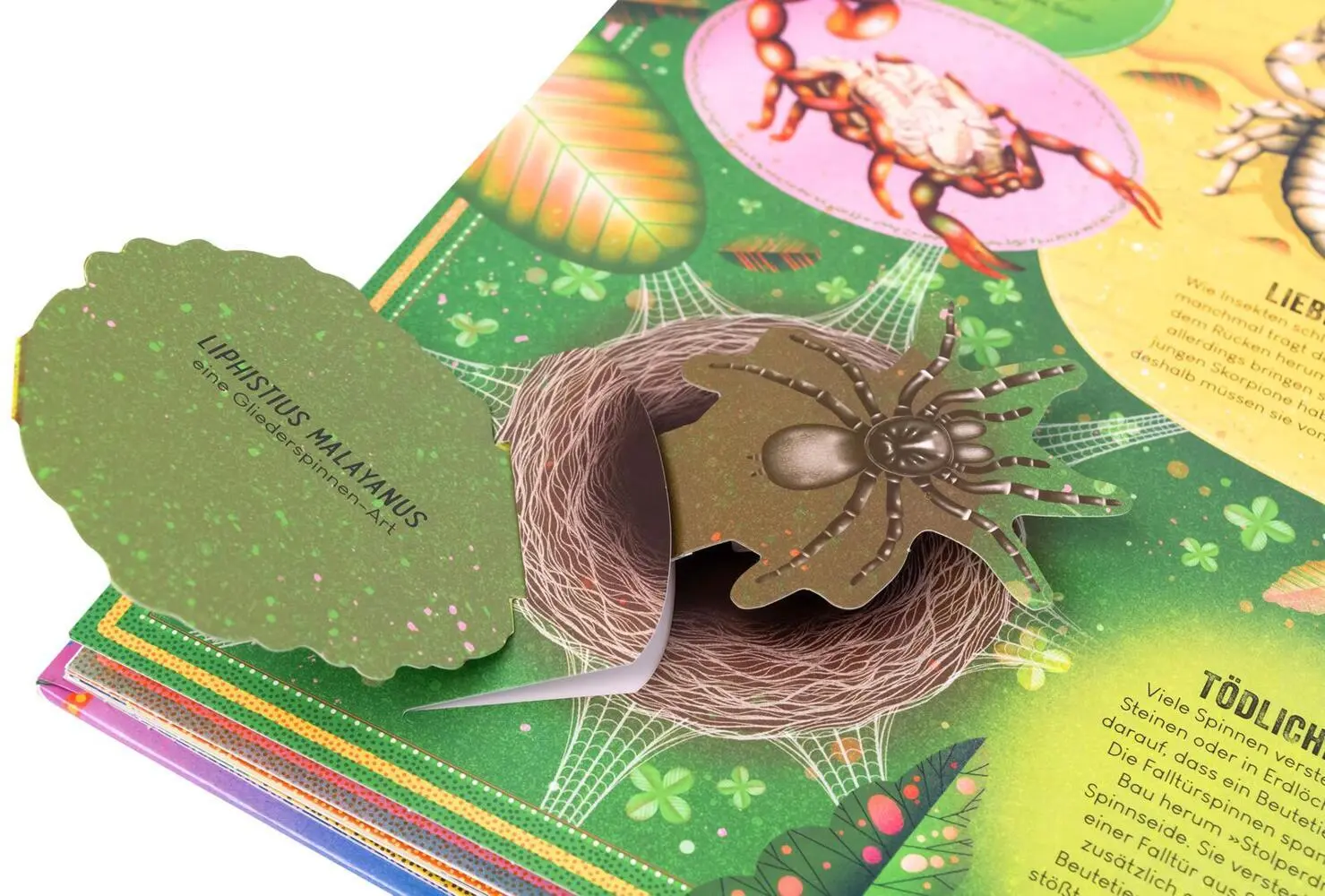 Bild: 9783845861272 | Das unglaubliche Pop-up-Buch Insekten | Ben Hoare | Buch | 16 S.
