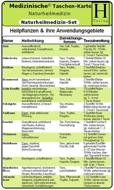 Cover: 9783939081272 | Naturheilmedizin Set. Medizinische Taschen-Karte | Deutsch | 1999
