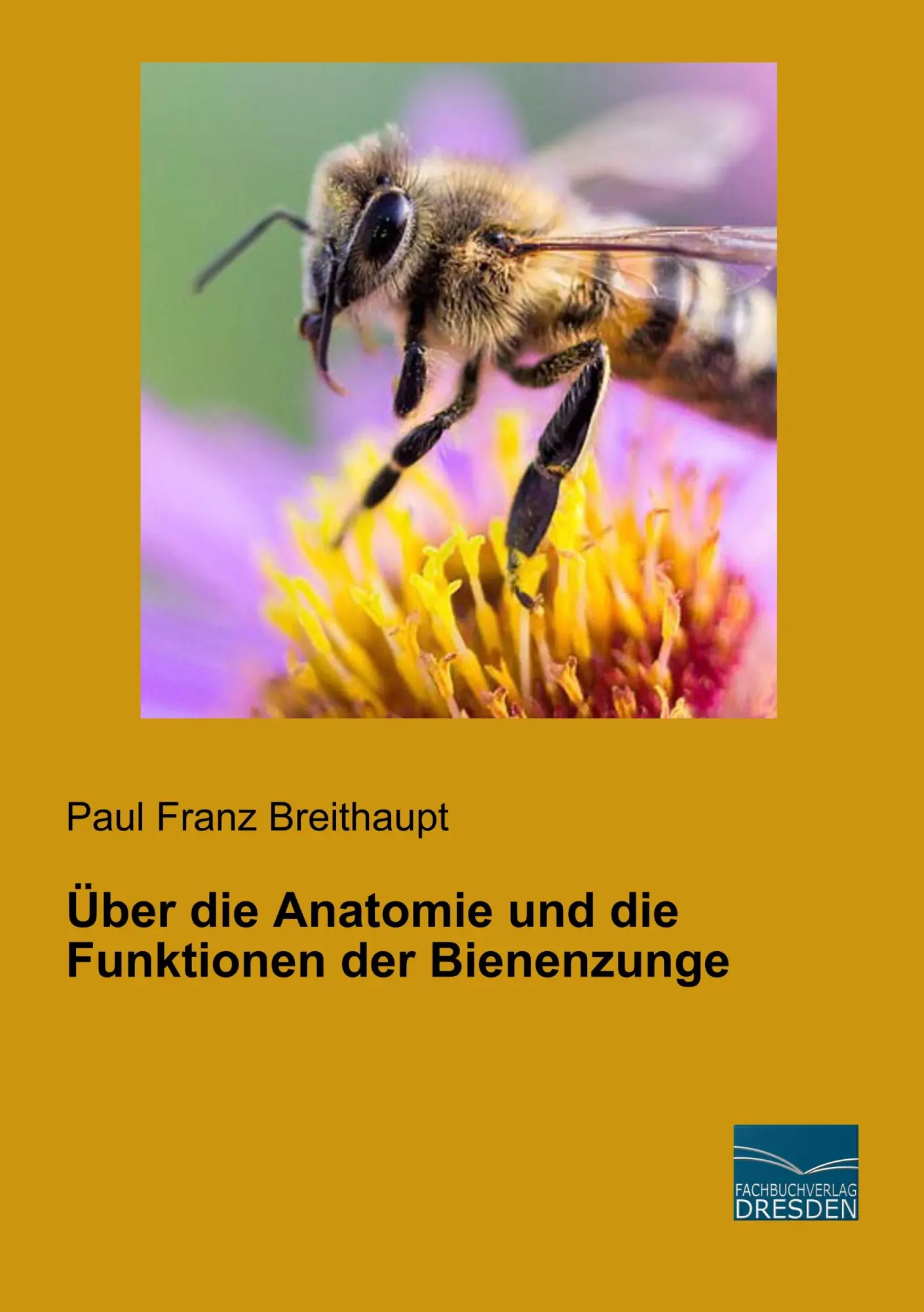 Cover: 9783961691272 | Über die Anatomie und die Funktionen der Bienenzunge | Breithaupt