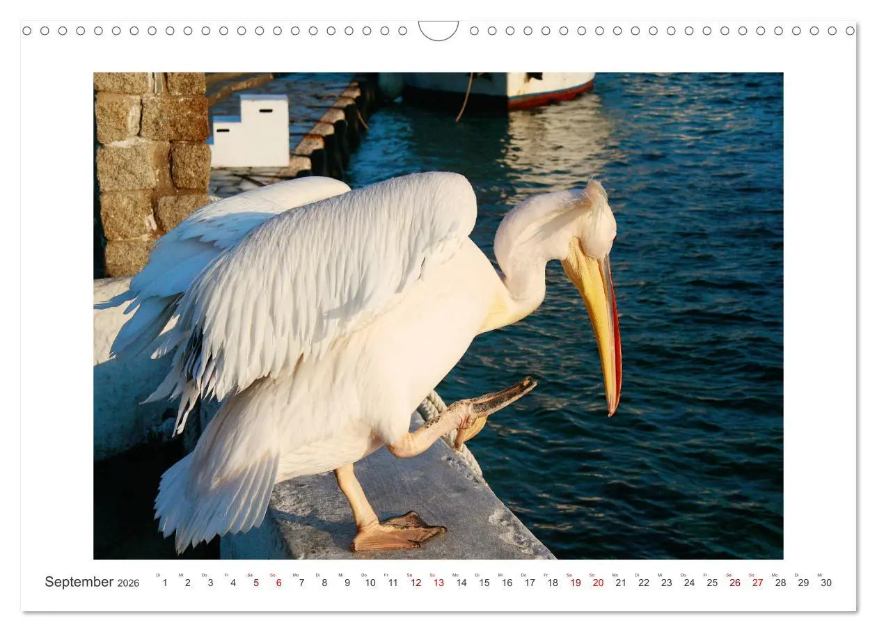 Bild: 9783457601372 | Griechischer Charme (Wandkalender 2026 DIN A3 quer), CALVENDO...