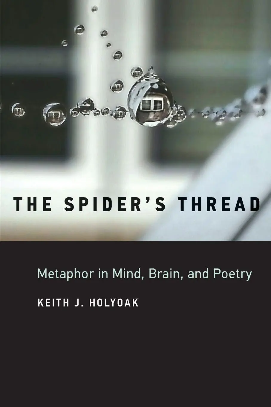 Cover: 9780262551472 | The Spider's Thread | Metaphor in Mind, Brain, and Poetry | Holyoak