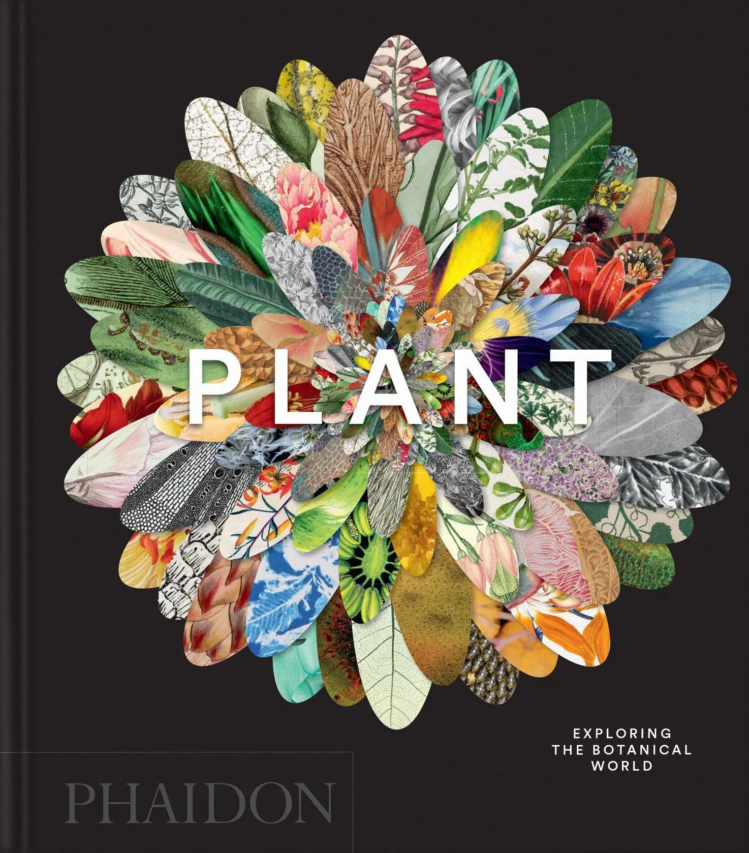 Cover: 9781837291472 | Plant | Exploring the Botanical World, Compact Format | Editors | Buch
