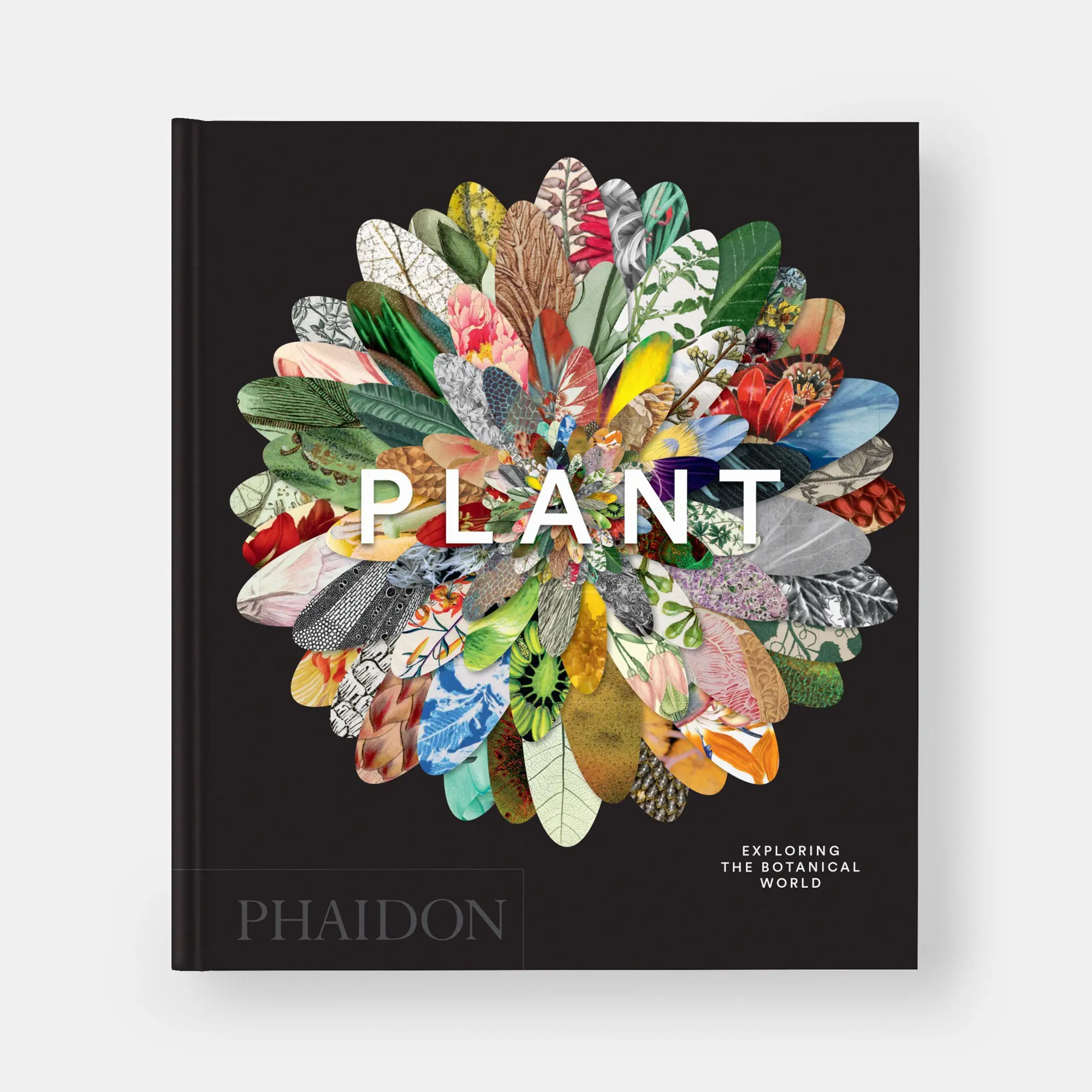 Bild: 9781837291472 | Plant | Exploring the Botanical World, Compact Format | Editors | Buch