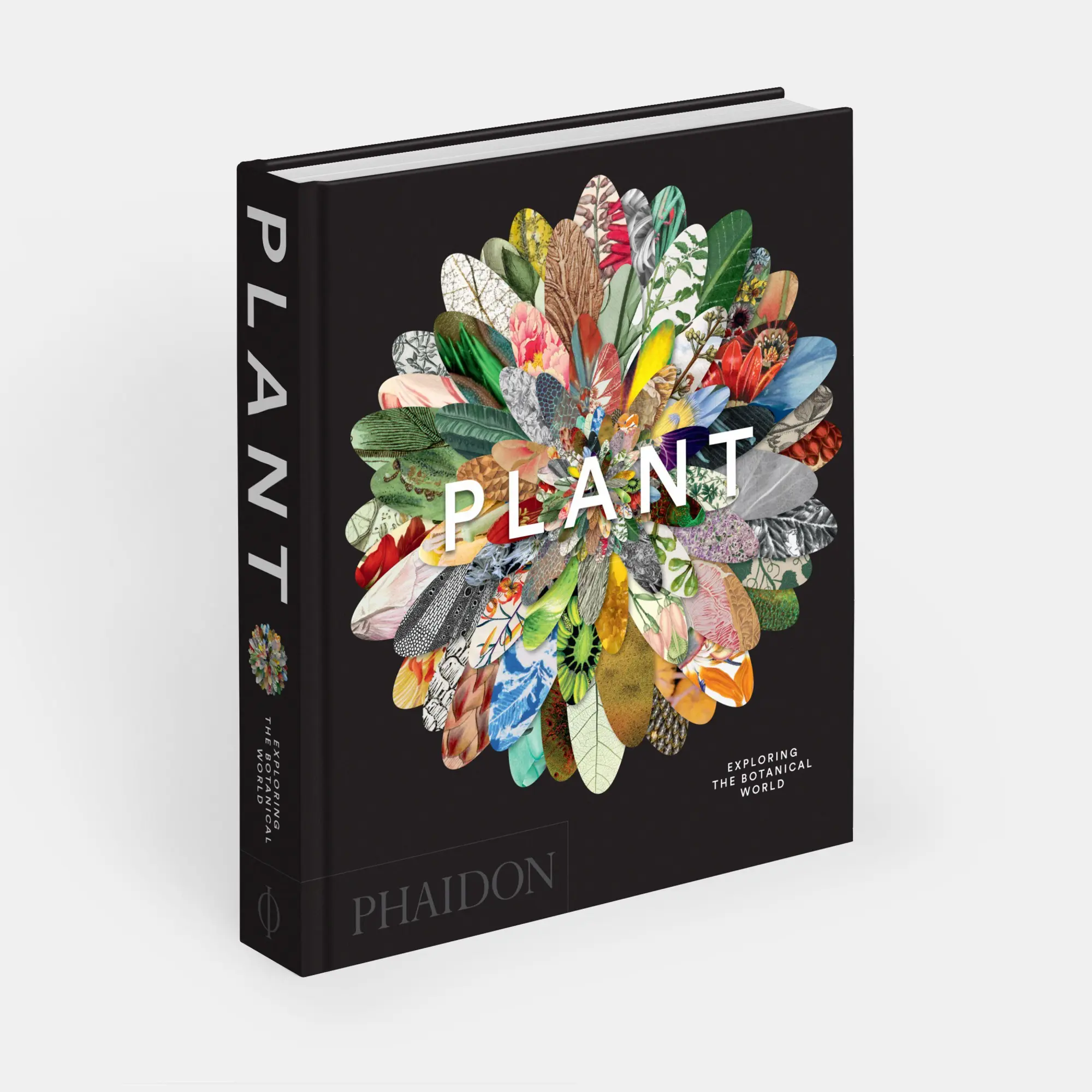 Bild: 9781837291472 | Plant | Exploring the Botanical World, Compact Format | Editors | Buch
